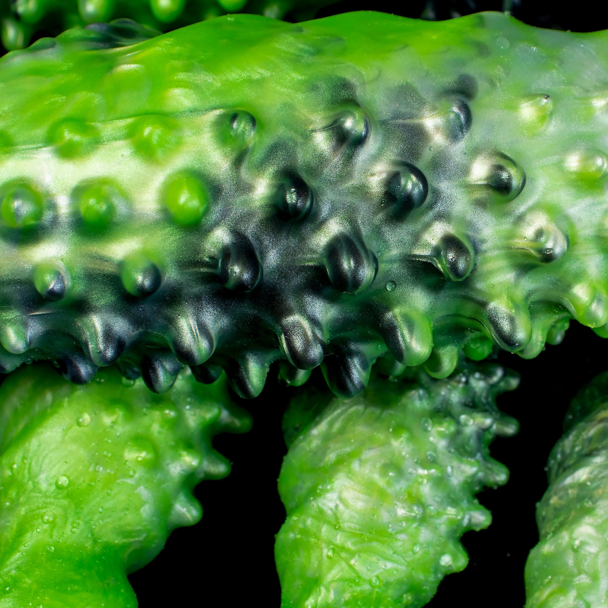 🎃"Abyss" Spiked Dildo | Black Monster Dildo | Platinum Silicone