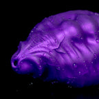 Oieffur Skyline Challenger Platinum Silicone Fantasy Dildo showing smooth, realistic design with detailed texture and shape.