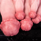 Realistic Strong Bow Horse Dildo by Oieffur, available in multiple sizes with detailed realistic features.